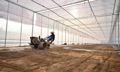 Cina: CDB aumenta sostegno ai terreni agricoli di alto livello
