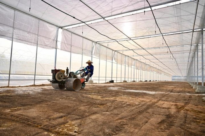 Cina: CDB aumenta sostegno ai terreni agricoli di alto livello