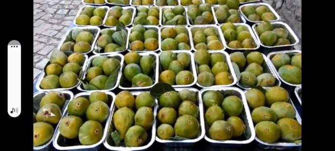 PISTERZO: DOMANI SERA LA SAGRA DEI FICHI