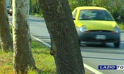 ANZIO: STUPRO NELLA BARACCA, ARRESTATO