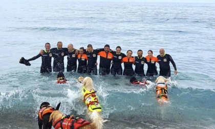 REGIONE: SULLE SPIAGGE GIA' OPERATIVI I CANI BAGNINO