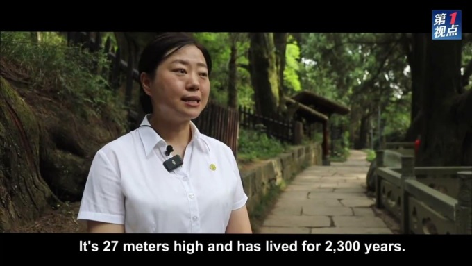 Cina: Xi Jinping visita antico Shudao nel Sichuan