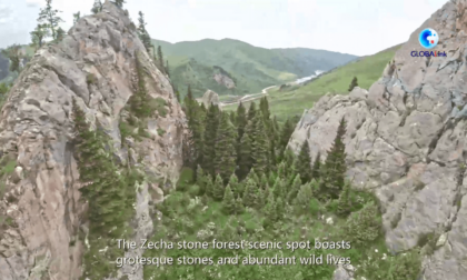 Cina: straordinario panorama della foresta di pietra di Zecha