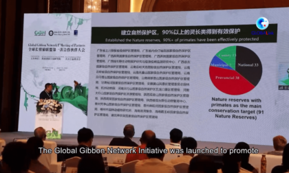 Esperti riuniti ad Haikou chiedono sforzi di protezione dei gibboni