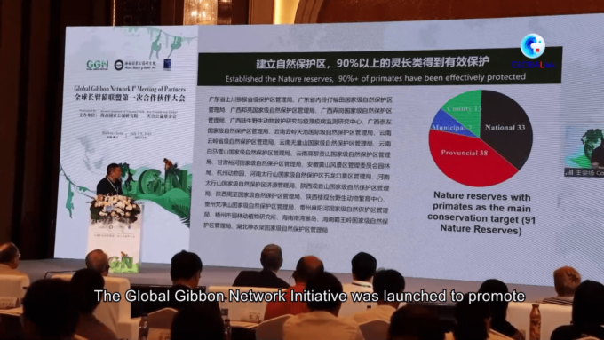 Esperti riuniti ad Haikou chiedono sforzi di protezione dei gibboni