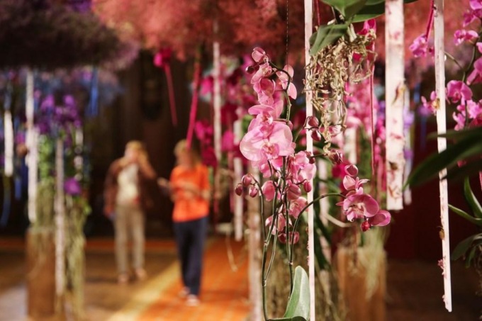 Belgio: al via Flowertime Festival a Bruxelles (1)