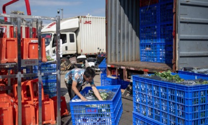 Cina: sondaggio, aziende logistiche registrano miglior ambiente imprenditoriale