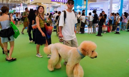 Cina: fiera degli animali domestici a Shanghai