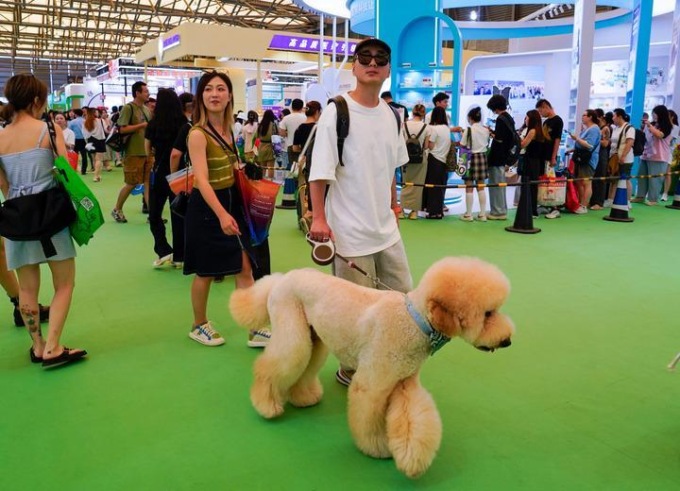Cina: fiera degli animali domestici a Shanghai
