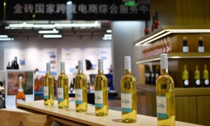 Cina-Paesi BRICS: rapido aumento scambi commerciali a gennaio-luglio