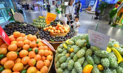 Cina-Africa: commercio registra crescita costante a gennaio-luglio