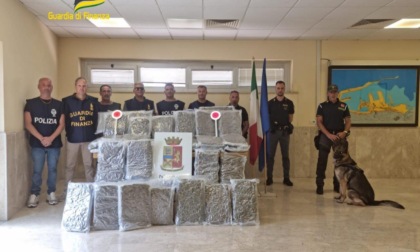 CIVITAVECCHIA: DROGA, MAXI CARICO DALLA SPAGNA