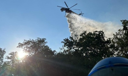 LATINA/VITERBO: A FUOCO SETTANTA ETTARI DI VEGETAZIONE