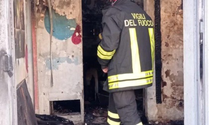ROMA: CANE MUORE IN UN INCENDIO