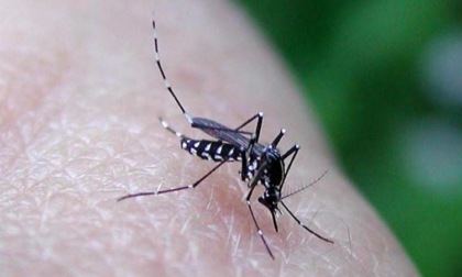 SAN FELICE CIRCEO: DENGUE, IL MONITORAGGIO DEL MINISTERO