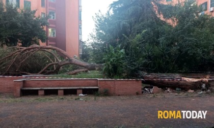 ROMA: CROLLA PINO, FERITE TRE RAGAZZINE