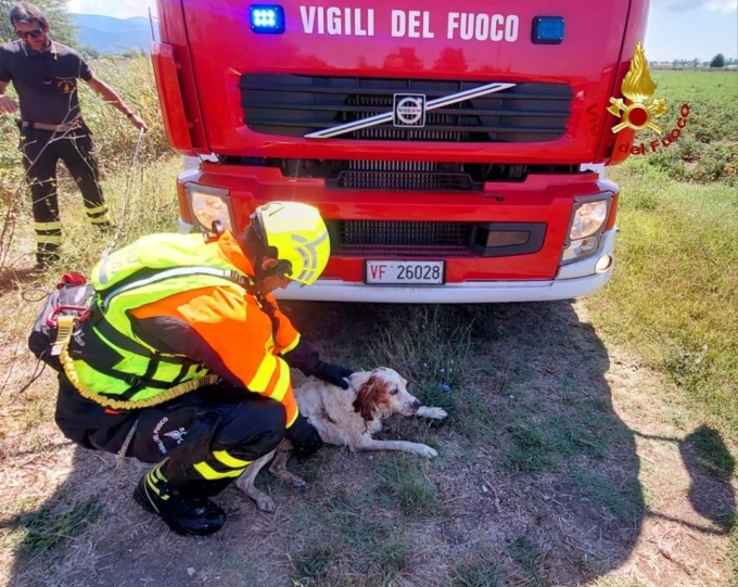 PONTINIA: I VIGILI DEL FUOCO SALVANO CANE IN UN CANALE