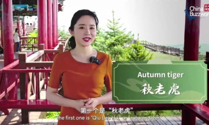Cina: maturità e speranza all'Inizio dell'autunno