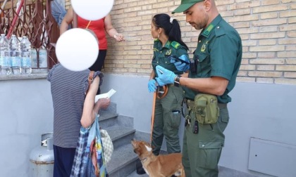 NETTUNO: SALVATO CANE SEGREGATO SU UN BALCONE