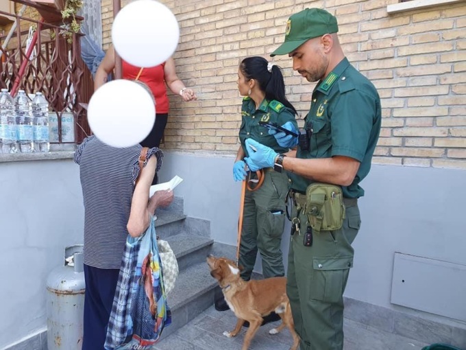 NETTUNO: SALVATO CANE SEGREGATO SU UN BALCONE
