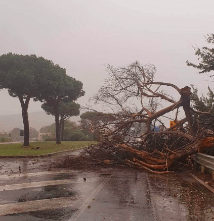 ROMA/FROSINONE: MALTEMPO, DANNI E DISAGI