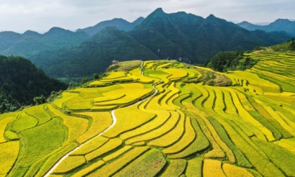 Cina: Guizhou, paesaggio di terrazzamenti a Guiding