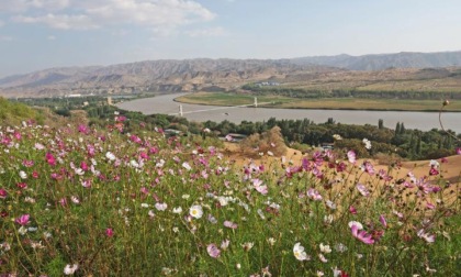 Cina: controllo del deserto nel distretto di Shapotou del Ningxia 