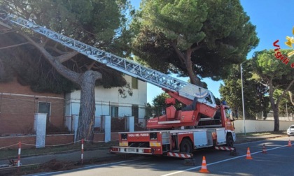 CIVITAVECCHIA: ALBERO PERICOLANTE MINACCIA STRUTTURA DELLA CASERMA