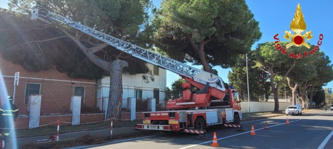 CIVITAVECCHIA: ALBERO PERICOLANTE MINACCIA STRUTTURA DELLA CASERMA