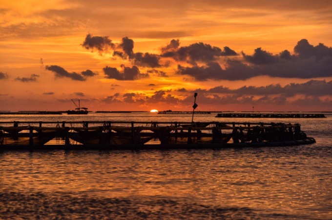 Cina: Guangdong, Haiwei-2 favorisce acquacoltura in alto mare (1)