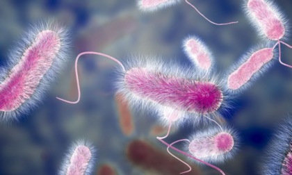 LATINA: MUORE DI LEGIONELLA IN OSPEDALE