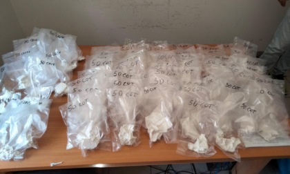 APRILIA: ARMI E DROGA, UN ARRESTO