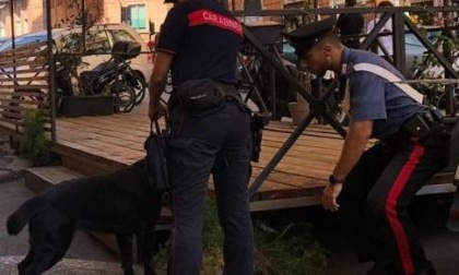 ROMA: FURTI E DROGA, SETTE ARRESTI NELLA CAPITALE