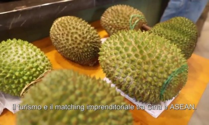 Cina-ASEAN: come sinergia contribuisce a crescita economica globale