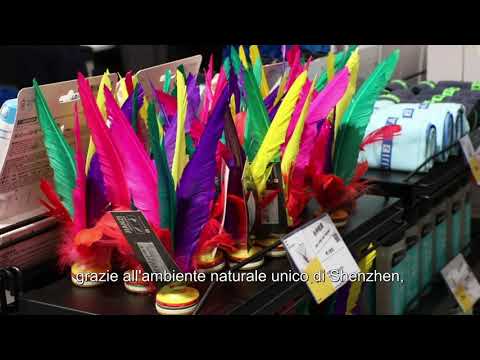 Cina: rivenditore francese merci sportive aumenta attività a Shenzhen