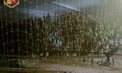 ANZIO: SEQUESTRATI 97 CHILI DI DROGA