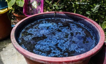 Cina: ricercatori scoprono nuovo modo per riciclare coloranti in acque reflue
