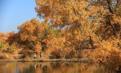 Panorami autunnali in Cina 