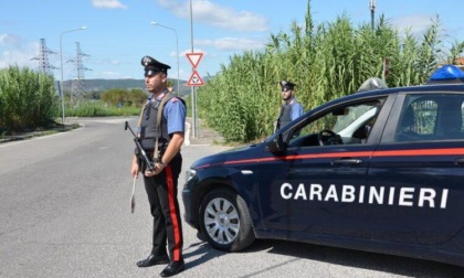 CIVITA CASTELLANA: MORSA DAL CANE E AGGREDITA, COPPIA DENUNCIATA