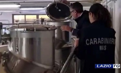 LATINA/FROSINONE: ISPEZIONI DEL NAS NELLE AZINEDE VINICOLE