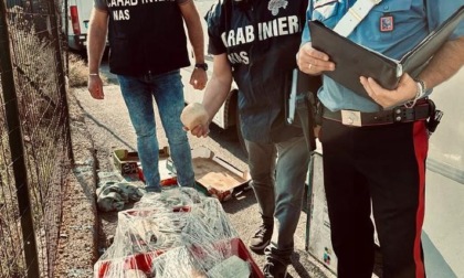TERRACINA/FONDI: MERCATI SETTIMANALI, MAXI SEQUESTRO DI ALIMENTI