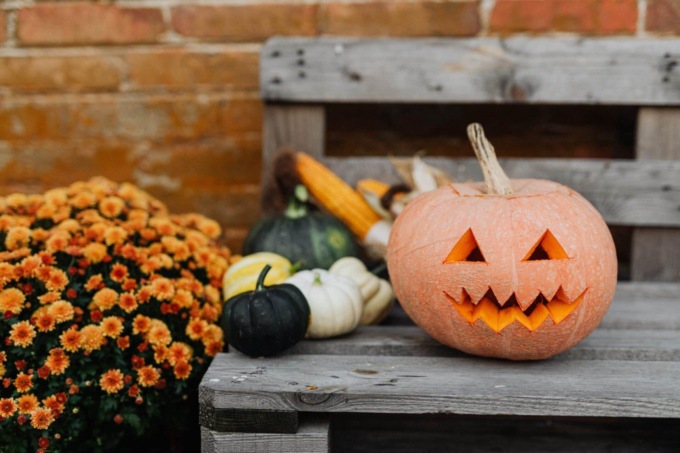 FORMELLO: “ECO GREEN HALLOWEEN”. PRIMA EDIZIONE