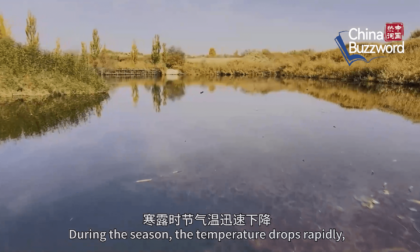 Cina: la prosperità e tranquillità della Rugiada fredda
