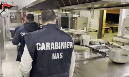 REGIONE: CONTROLLI DEI NAS NELLE MENSE SCOLASTICHE