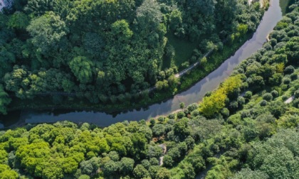Cina: registra migliore qualità dell'acqua a gen-set