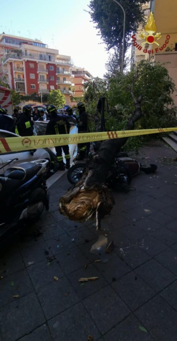 ROMA: ALBERI CADUTI, UNA DONNA MORTA UN’ALTRA FERITA