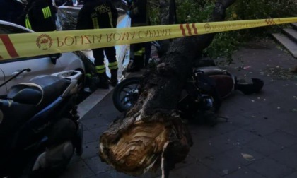 ROMA: ALBERI CADUTI, UNA DONNA MORTA UN'ALTRA FERITA