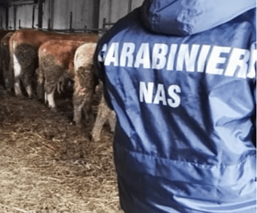 PONTINIA: MALTRATTAMENTO DI ANIMALI, SEQUESTRATA AZIENDA