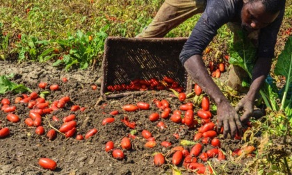 LATINA: CAPORALATO, DOPO IL VERTICE PARLA LA CISL