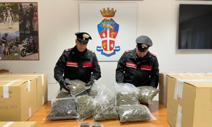 FONTE NUOVA: 300 KG DI MARIJUANA NEL MAGAZZINO, DUE ARRESTI